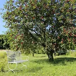 Traumhaus Mit „Park“: Landidylle Mitten Im Zentrum