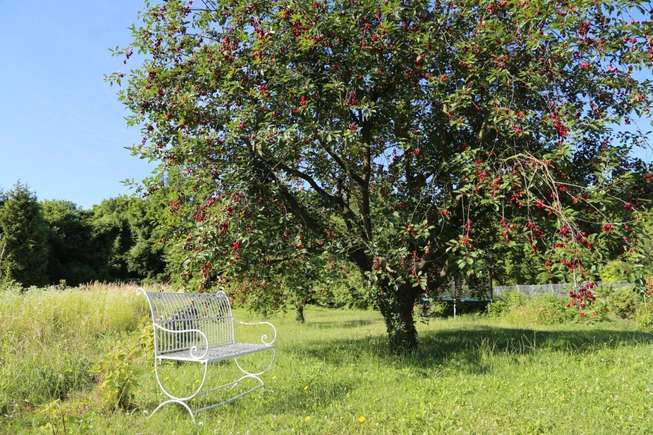 Ferienhaus Traumhaus Mit „park“: Landidylle Mitten Im Zentrum *