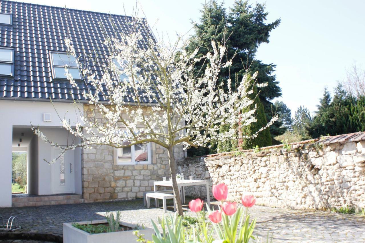 Traumhaus Mit „park“: Landidylle Mitten Im Zentrum Ferienhaus Mainz